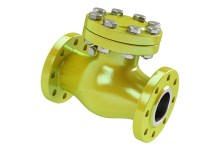 check valve.jpg